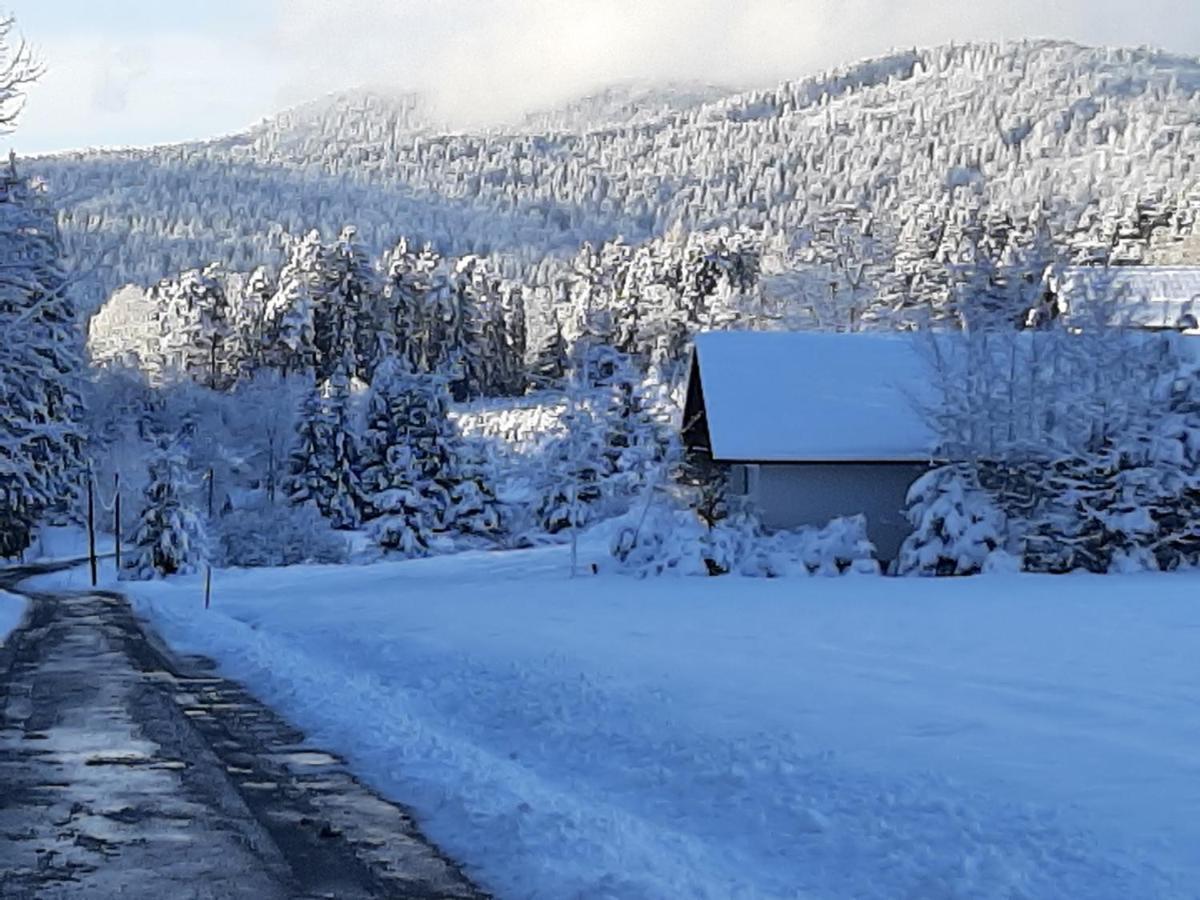 Chalet Waldstadl, Andrea'S Woidhaisl Arnbruck Kültér fotó