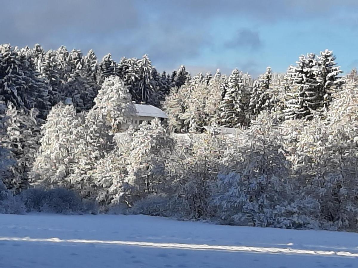 Chalet Waldstadl, Andrea'S Woidhaisl Arnbruck Kültér fotó