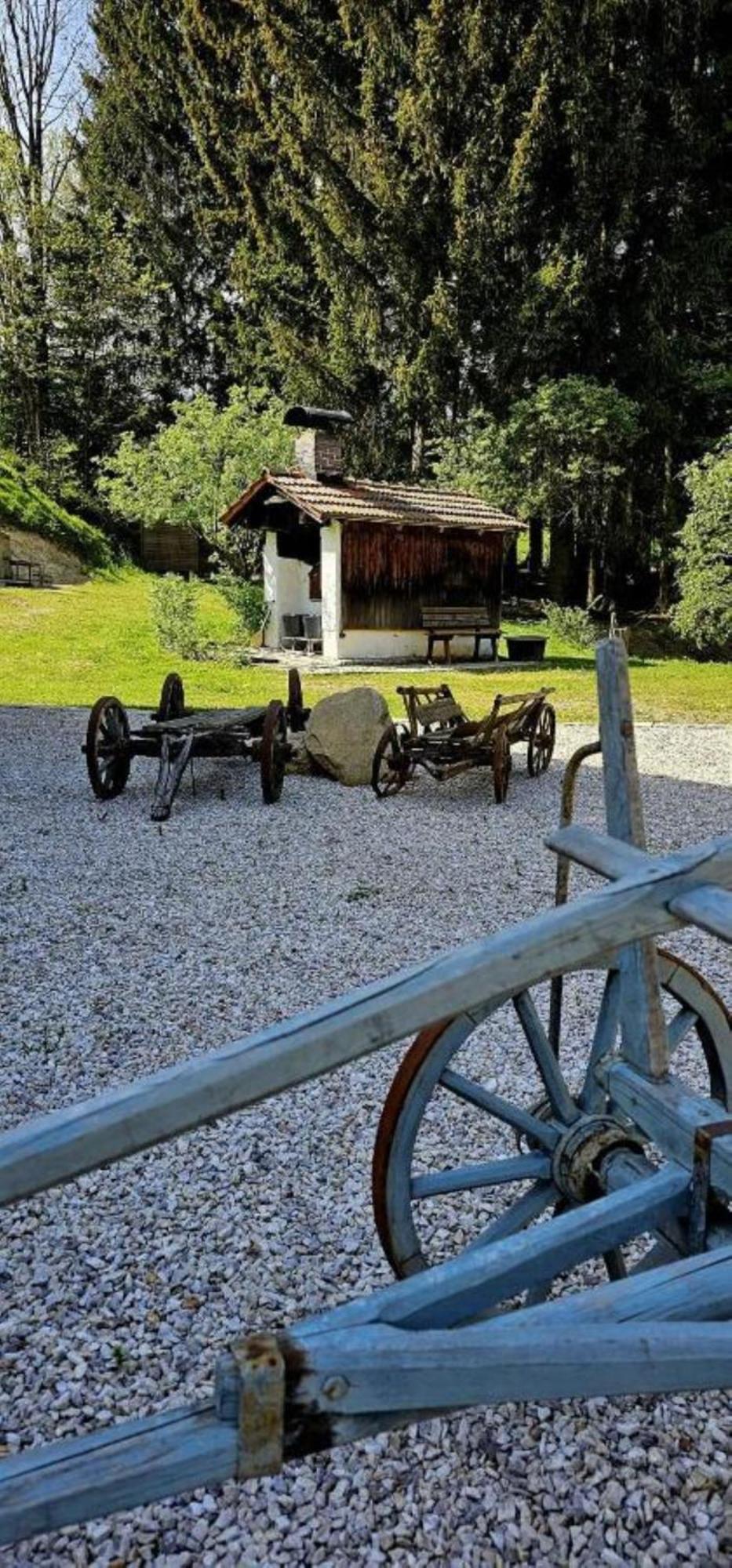 Chalet Waldstadl, Andrea'S Woidhaisl Arnbruck Kültér fotó